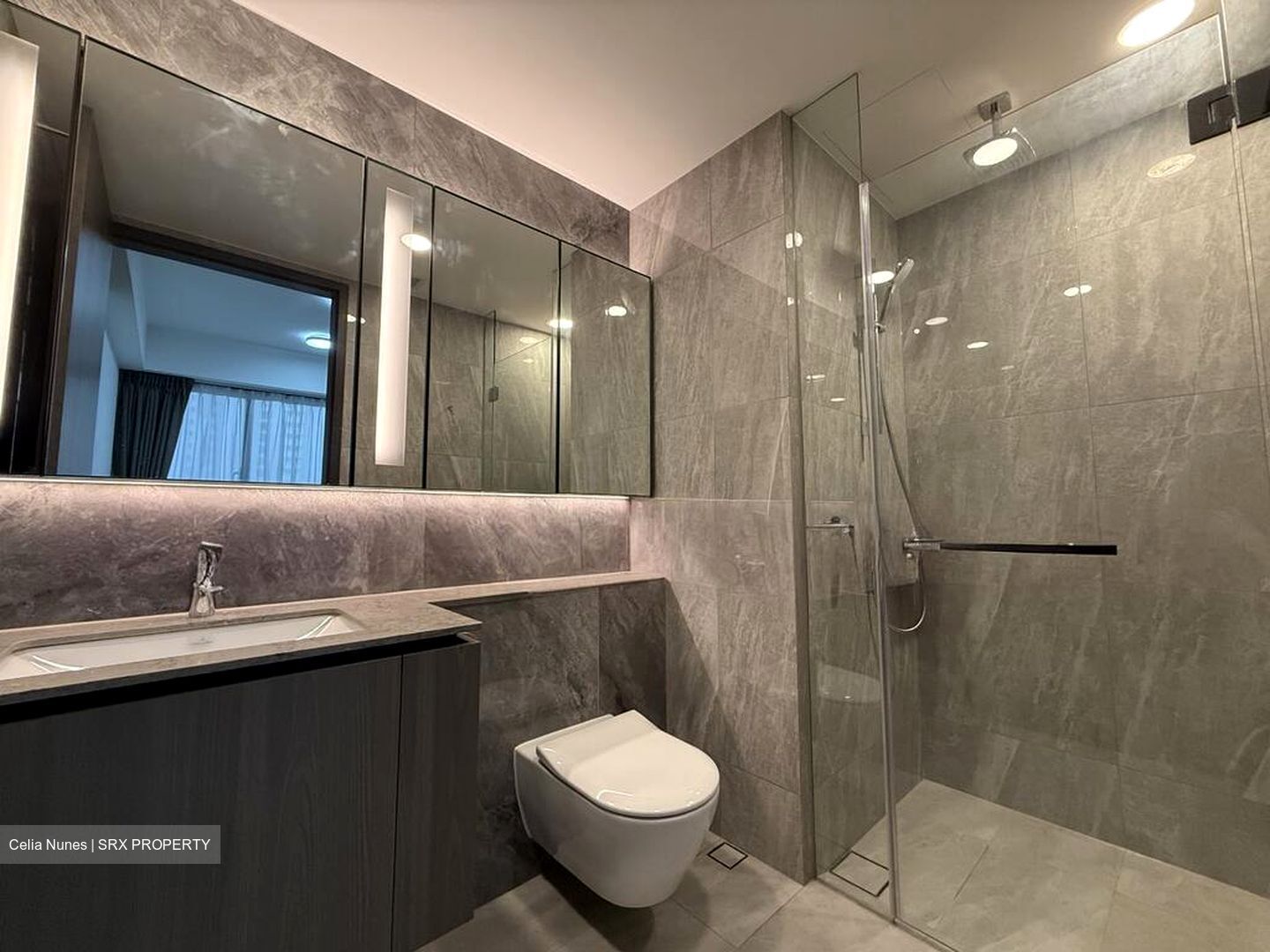 Piccadilly Grand (D8), Apartment #633772341